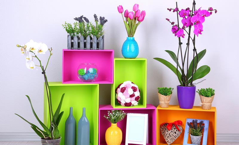 plantas-para-combatir-el-estres-laboral