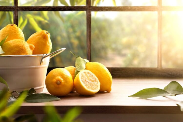 Cómo limpiar el microondas con limón paso a paso