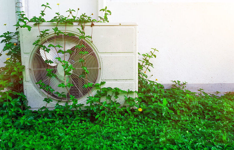 Cosas que aumentan las alergias primaverales