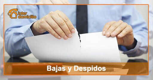 Gestionar bajas, despidos y finiquitos
