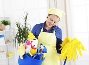 productos limpieza empleada hogar