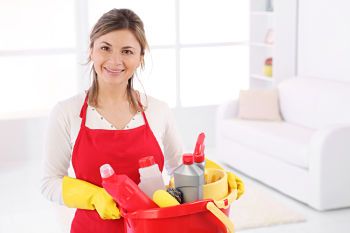 informacion sobre el servicio domestico en avila