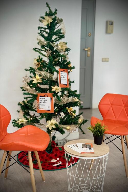 servicio limpieza navidad