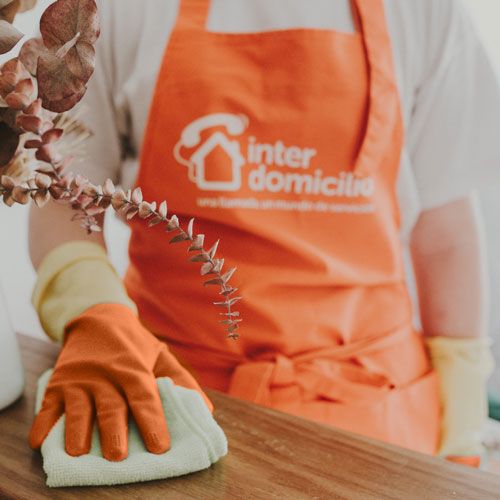 empresa-servicio-domestico