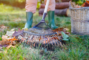 Pasos para mantener el jardín limpio en otoño