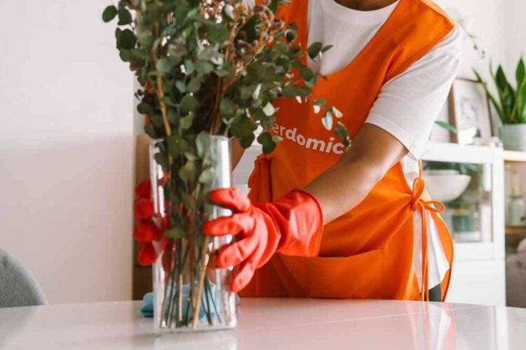 servicio-domestico